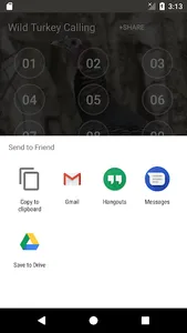 Wild Turkey Calling Sounds screenshot 3