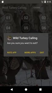 Wild Turkey Calling Sounds screenshot 4