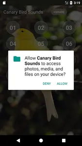 Canary Bird sounds screenshot 3