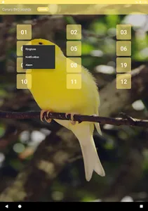 Canary Bird sounds screenshot 5