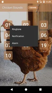 Chicken Sounds screenshot 1