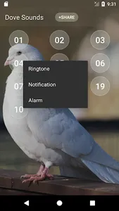 Dove soundboard screenshot 2