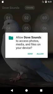 Dove soundboard screenshot 3