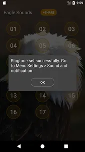 Eagle Sounds and Ringtone screenshot 3