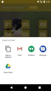 Peregrine Falcon sounds screenshot 2