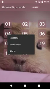 Guinea Pig sounds screenshot 1
