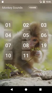 Monkey Sounds screenshot 0