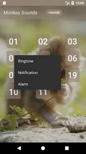 Monkey Sounds screenshot 1