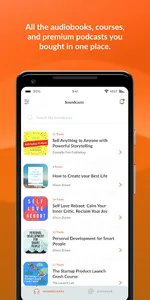 Soundwise Audio screenshot 0