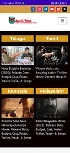 Southfans screenshot 0