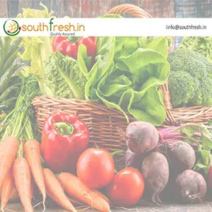 Southfresh screenshot 0