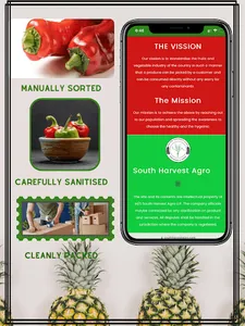 Unripe screenshot 5
