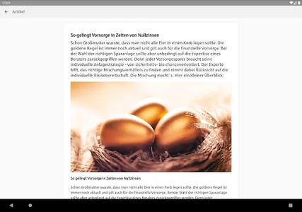 SV Puls screenshot 5