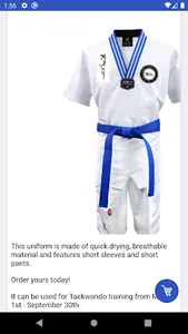 Spirit Taekwondo screenshot 5