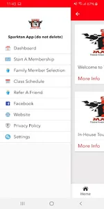 Synergy Karate screenshot 2