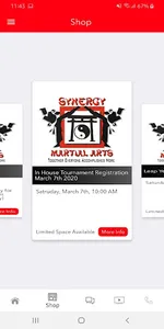 Synergy Karate screenshot 4