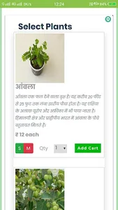 Green Dewas screenshot 2