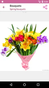 Bouquets screenshot 2