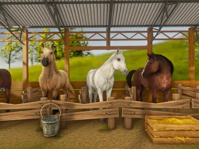 Real Horse World - Showjumping screenshot 9