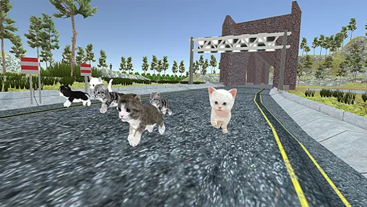 Cute Cat Racing World Cup screenshot 7