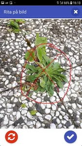 Speed Up screenshot 1