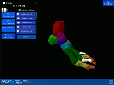 Dicom XR Library screenshot 13