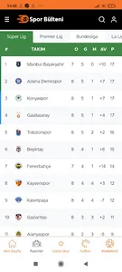 Spor Bülteni screenshot 1