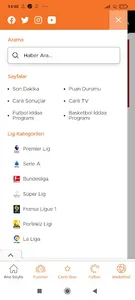 Spor Bülteni screenshot 2