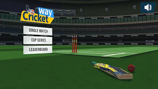 CricketWay screenshot 12