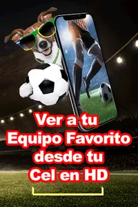 Partidos de Futbol en Vivo y e screenshot 10