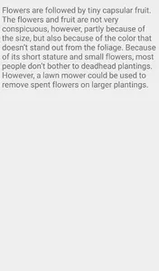 Brass Button Flower screenshot 3