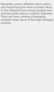 Description of Marigold Flower screenshot 2