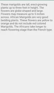Description of Marigold Flower screenshot 3