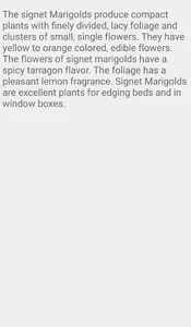 Description of Marigold Flower screenshot 5