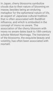 Higan Cherry Flower screenshot 5