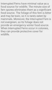 Interrupted Fern screenshot 5