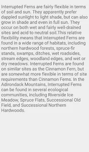 Interrupted Fern screenshot 6