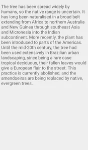 Madagascar Almond Tree screenshot 4