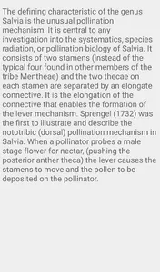 Salvia Flower screenshot 4