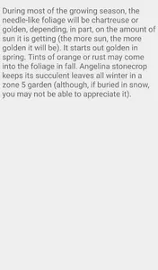 Sedum Angelina screenshot 2