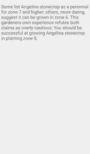 Sedum Angelina screenshot 3