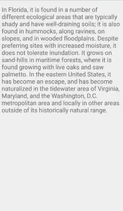 Southern Magnolia Flower screenshot 4