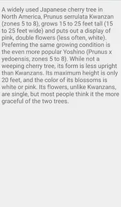 Weeping Cherry Trees screenshot 3