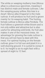 Weeping Cherry Trees screenshot 6