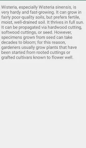 Wysteria Tree screenshot 5