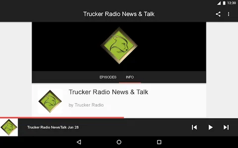 TRUCKER RADIO screenshot 5