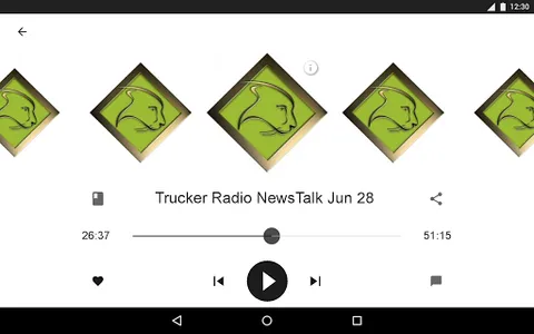 TRUCKER RADIO screenshot 6