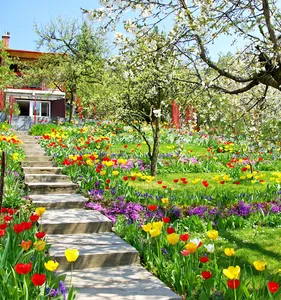 Spring Flowers Garden Wallpape screenshot 0