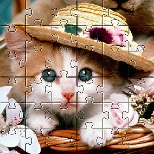 Cute cats app jigsaw puzzles screenshot 20