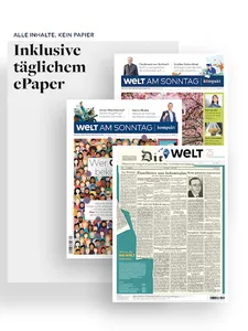 WELT Edition: Digitale Zeitung screenshot 20